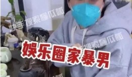 爆料家暴男娱乐圈小说,家暴阴影下的爱情救赎