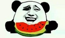 娱乐吃瓜酱可爱,可爱日常，带你领略娱乐圈甜蜜瞬间