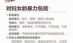 如何看角色爆料记录视频,视频记录背后的真相与线索
