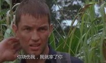 狂蟒之灾2在线观看,蟒蛇复仇，惊悚再起