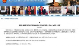 全国最近爆料视频最新,最新热点事件大盘点