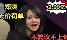 塌房明星爆料视频大全集,塌房明星爆料视频大全集深度解析
