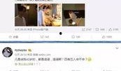 美国科学院爆料视频网站,揭秘视频网站背后的真相与争议
