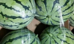 2021网红吃瓜链接,揭秘网络红人幕后真相