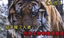 大虎电影手机在线观看,手机在线观看，激情燃烧的岁月