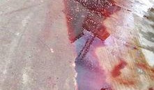 屠宰最新爆料消息,揭秘屠宰行业惊人内幕