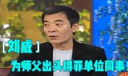 刘威爆料相声视频大全,揭秘笑星背后的幽默人生