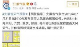 大风新闻爆料怎么写,揭秘事件背后惊人真相