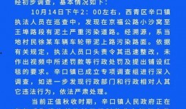 天津24小时爆料新闻网,聚焦城市脉搏，解码民生热点