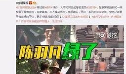 塌房明星爆料视频大全集,塌房明星爆料视频大全集深度解析