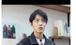 娱乐圈爆料肖战真实,娱乐圈背后的真实人生揭秘