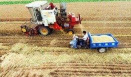 石家庄农村爆料视频大全,揭秘乡村生活百态