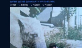 岳云鹏爆料大象视频,揭秘娱乐圈幕后真相