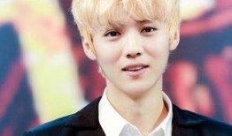 港媒爆料鹿晗视频合集下载,鹿晗视频合集下载全攻略，独家资源大放送！