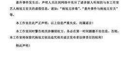 娱乐圈爆料杨旭文,揭秘明星背后的故事