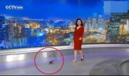 好声音沈阳主持人爆料视频,主持人爆料精彩瞬间
