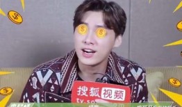 娱乐圈明星吃瓜王鹤棣,娱乐圈吃瓜王，揭秘明星幕后故事