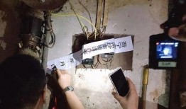 屠宰最新爆料消息,揭秘屠宰行业惊人内幕