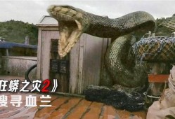 狂蟒之灾2在线观看,蟒蛇复仇，惊悚再起