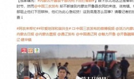 营山县被骗爆料事件视频,揭露网络诈骗的黑色陷阱