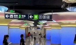 山东爆料最新消息视频大全,热点事件大盘点