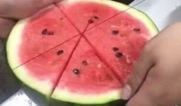 免费吃刀小刀的瓜,刀小刀瓜果盛宴等你来品鉴