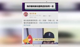 爆料家暴男娱乐圈小说,家暴阴影下的爱情救赎