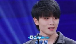 胡鑫真实爆料视频播放大全,揭秘事件背后真相