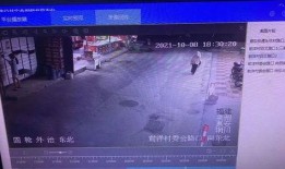 鱼爆料的视频大全播放,精彩瞬间回顾，笑料百出