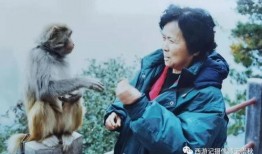 西游记摄像师爆料视频,摄像师亲述拍摄幕后故事与幕后花絮