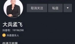 著名歌手爆料视频播放大全,视频播放大全背后的精彩瞬间