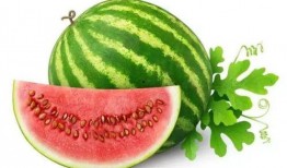 网红吃瓜打包图片,打包美食与娱乐的双重盛宴