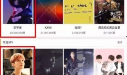 著名歌手爆料视频播放大全,视频播放大全背后的精彩瞬间