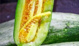 吃瓜网上的网红叫什么,揭秘其爆红背后的故事