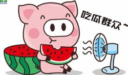 免费进入吃瓜八卦群,畅享娱乐资讯的狂欢盛宴
