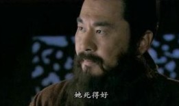 曹操 在线观看,在线重温三国霸主风采