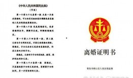 实事爆料新闻,揭秘近期热点事件背后真相