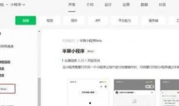 小程序最新秘闻爆料,颠覆传统，创新无限