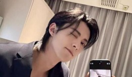 娱乐圈明星吃瓜王鹤棣,娱乐圈吃瓜王，揭秘明星幕后故事