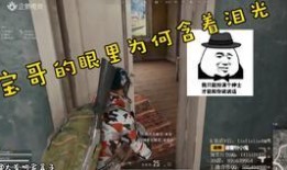 小鬼大哥爆料视频大全在线观看,揭秘幕后真相，带你领略娱乐风云