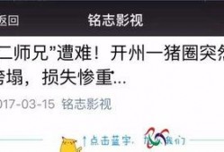 钦州自媒体爆料案件最新,真相背后，谁在操纵？”