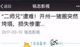 钦州自媒体爆料案件最新,真相背后，谁在操纵？”