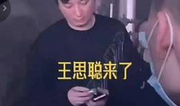 王思聪的爆料合集视频,揭秘娱乐圈背后的真相与内幕