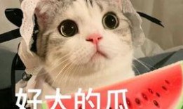 网红吃瓜解禁,揭秘娱乐圈幕后真相