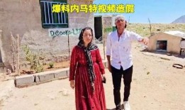 福建兄妹爆料视频在线观看,揭秘家庭内幕，引发社会关注