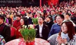 爆料过年春晚视频,独家爆料带你领略精彩瞬间