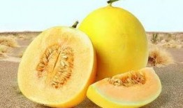 吃瓜网166.SU免费