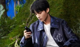 娱乐圈爆料王俊凯和杨幂,娱乐圈爆料再掀波澜！”