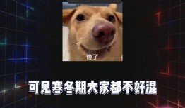 娱乐吃瓜圈,揭秘明星幕后故事与热点事件