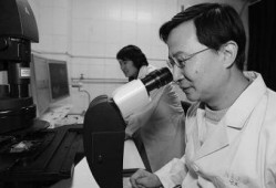 饶毅最新爆料视频播放,揭秘事件背后惊人真相